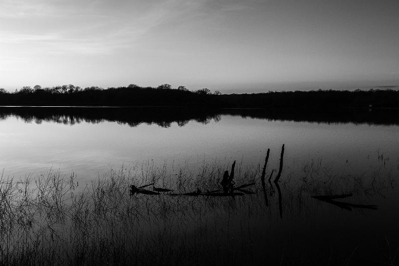 2020_01_05_Etang de Vaux et Baye (0038).jpg - Etang de Vaux (Janvier 2020)